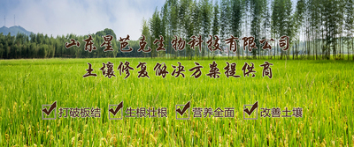 未标题-1.jpg